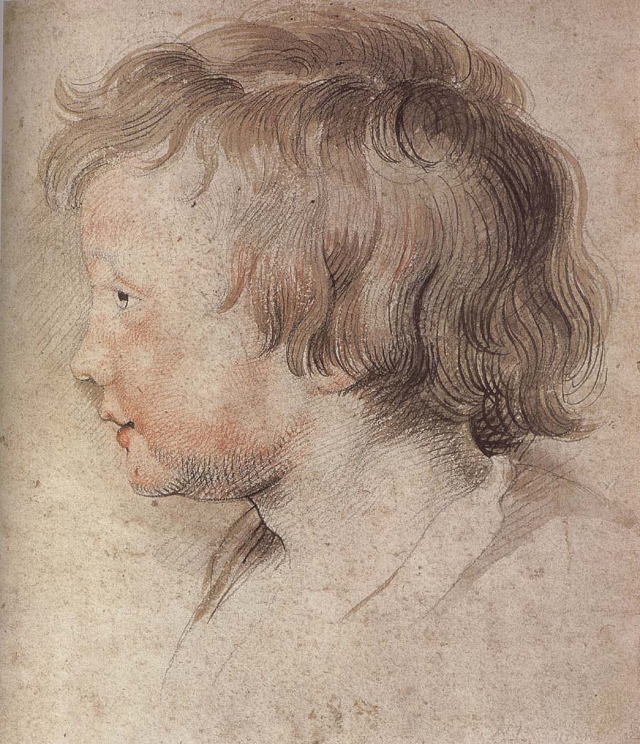 Peter Paul Rubens Portrait of Younger Rubens